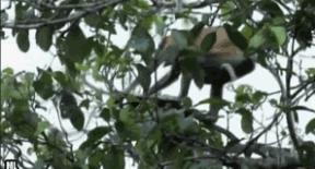 内涵段子第5期：今天愚人节，希望大家能玩点有些技术含量的