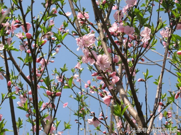 郑州市周边有哪些免费的公园,郑州十大免费公园排名