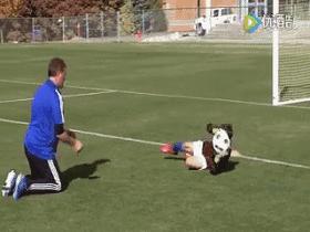 守门员不可思议的扑救法,守门员的经典扑救方法