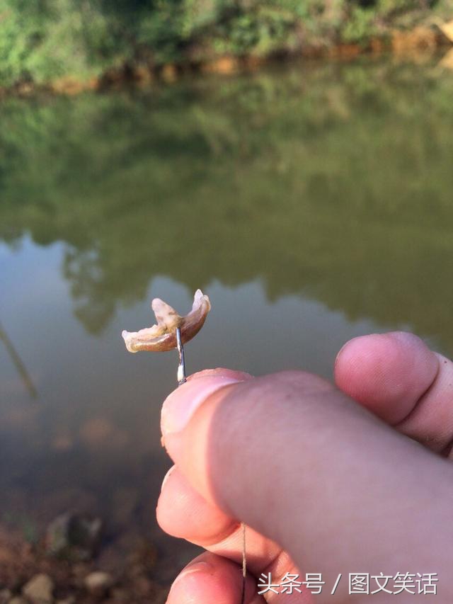 图文笑话：大哥，你拿二手戒指向我求婚，这婚我不结了