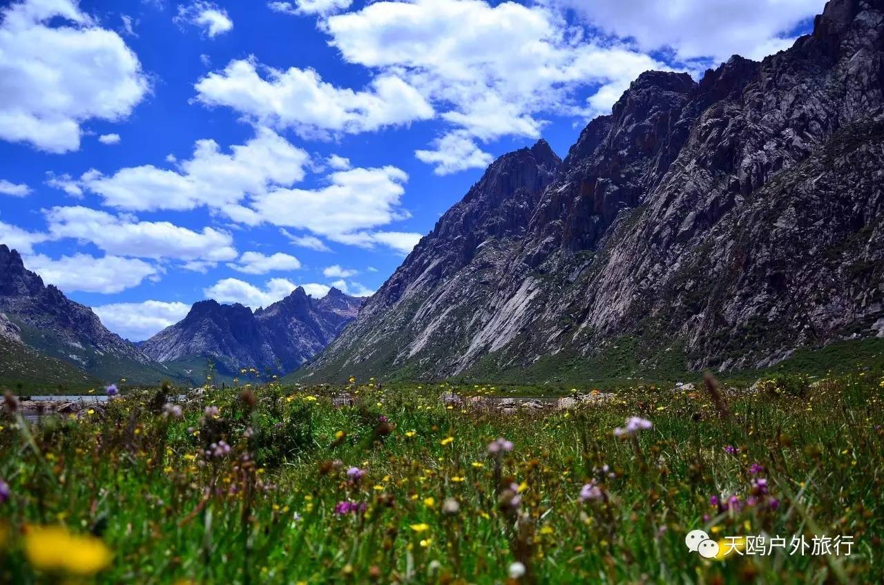 甘青川自驾游，别错过天神的后花园——年宝玉则，集三地之精华