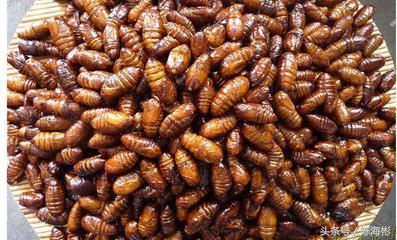 农村20个创业路子,无本创业22种方法农村