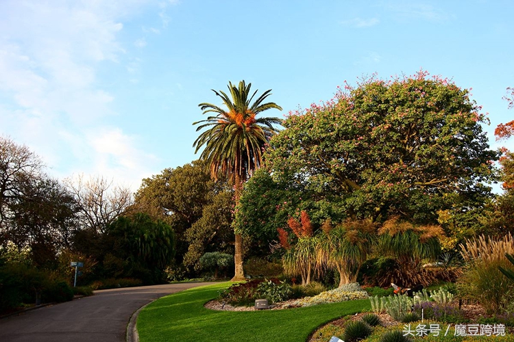 海购有什么好的东西,海购推荐