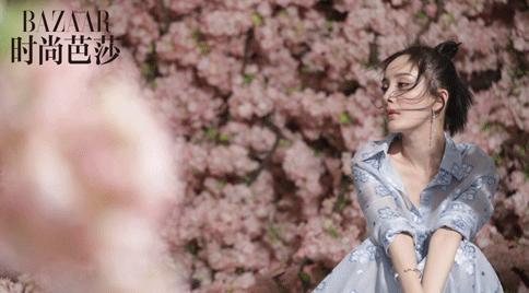 杨幂赵又延合体拍摄大片，三生三世十里桃花情景再现