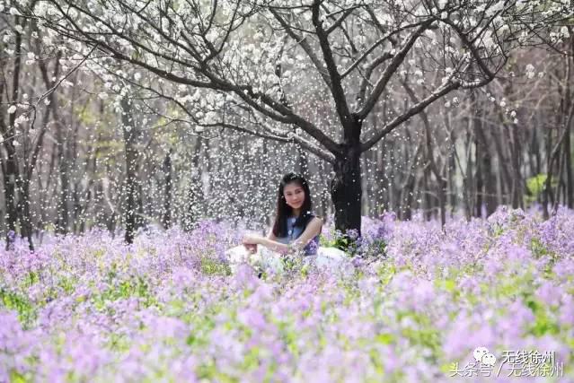 徐州桃花美景,徐州春天又见美好游玩