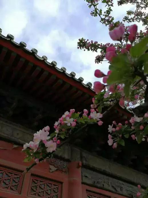 关于清明时节的古诗有哪些,关于清明的古诗并赏析