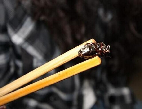 有钱人吃鹿茸的好处,有钱人吃鹿茸好处