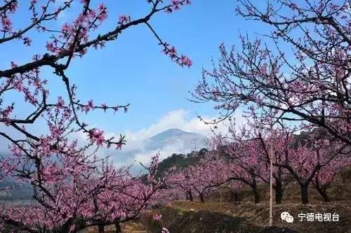 宁德有哪些民族乡,宁德特点村落