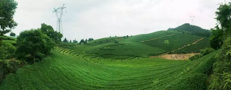 宁德有哪些民族乡,宁德特点村落