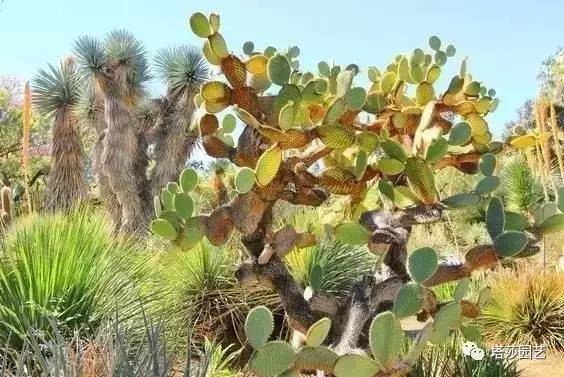 美国109岁老奶奶,109岁奶奶美国