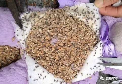 恐怖！中国查获10吨假奶粉！制假窝点现大量澳洲品牌奶粉空罐！A2断货，爱他美停产，妈妈们长点心！