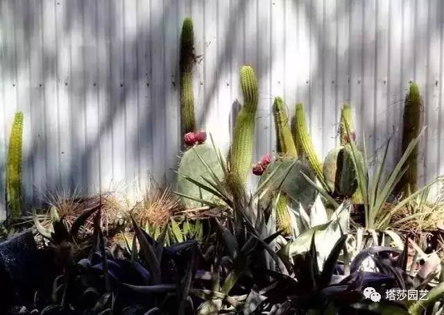 美国109岁老奶奶,109岁奶奶美国