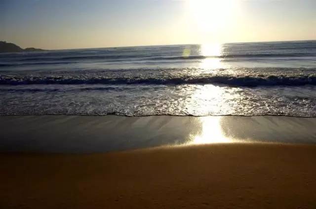 上海奉贤一日游最佳景点一览表,上海宝山区最值得去的五个景点