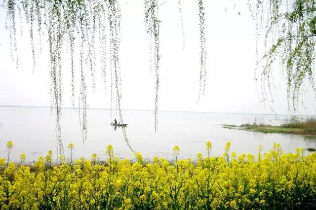国色天相倾国倾城，“阳澄湖”牵手“太湖”，在相城遇见最美的你