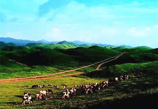 湖南十大风景名胜区有哪些,湖南十大最美风景区排行榜