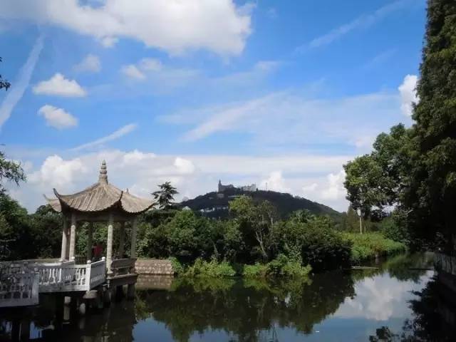 上海奉贤一日游最佳景点一览表,上海宝山区最值得去的五个景点