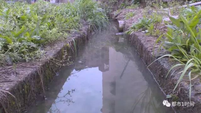 桶装水黑幕为何屡禁不止,桶装水的猫腻是什么