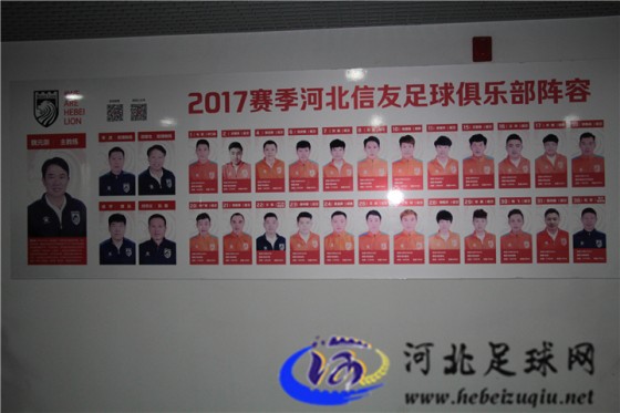 河北信友董事长周大为,信都国际周大为