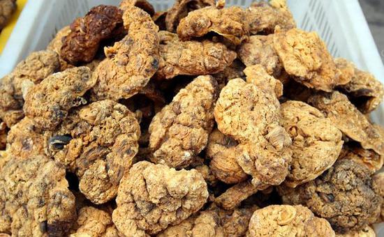 胎盘属于胎儿的一部分吗,胎盘是鸟卵吗