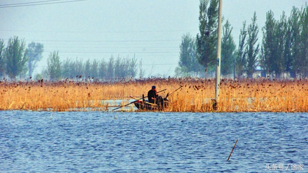 带你去看白洋淀的好景色,远离喧嚣白洋淀旅行