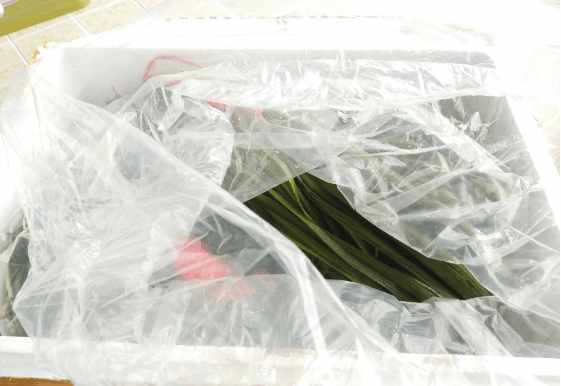 最便宜的鱼池推荐,一个观赏鱼池大概多少钱