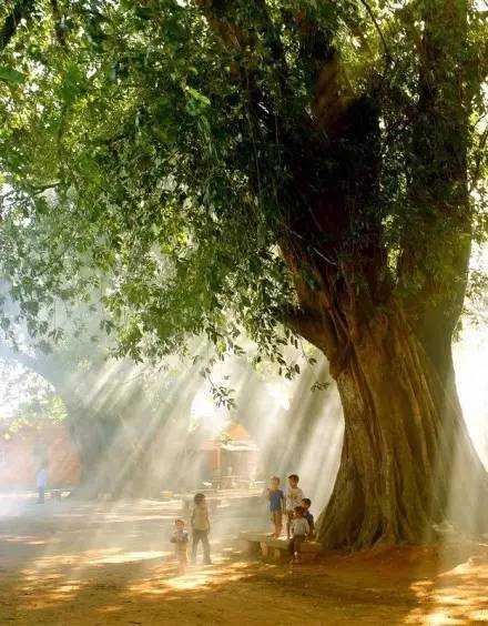 领读者｜管城区货栈街小学校长今日领读：《暖阳》