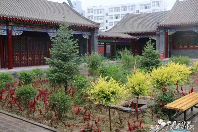 巴林鸡血石草原瑰宝,草原瑰宝巴林鸡血石