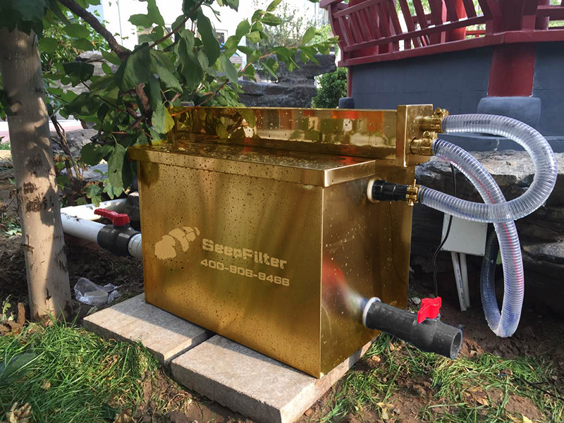 水中游动的活宝石,水中活宝石锦鲤视频