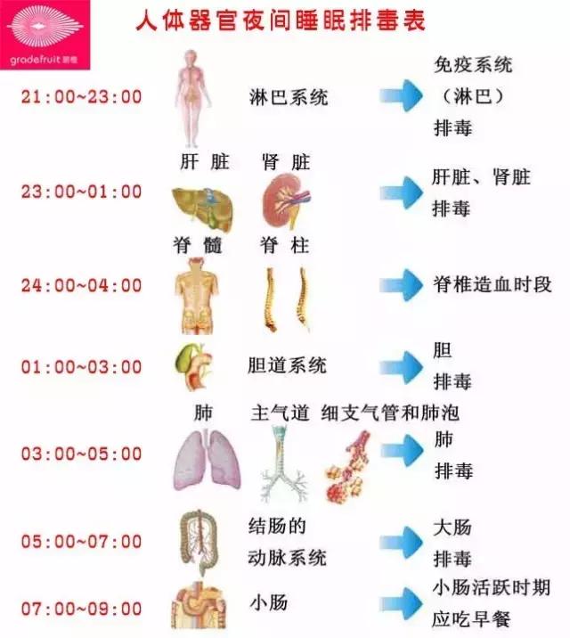 三天快速瘦腿的教程,瘦腿的教程简单易学三天
