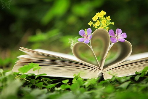 意境唯美图片小清新文字,手机壁纸高清小清新唯美图片