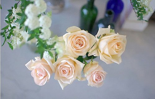 意境唯美图片小清新文字,手机壁纸高清小清新唯美图片