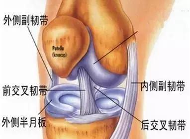 儿童踢球如何保护膝盖,想踢球先做人