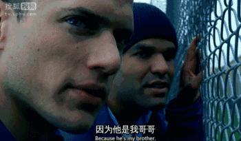 越狱第5季完整解说大结局,越狱第5季更新