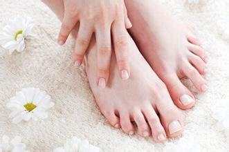 女人手脚冰凉怎么调理喝什么茶,手脚冰凉喝什么茶调理最好