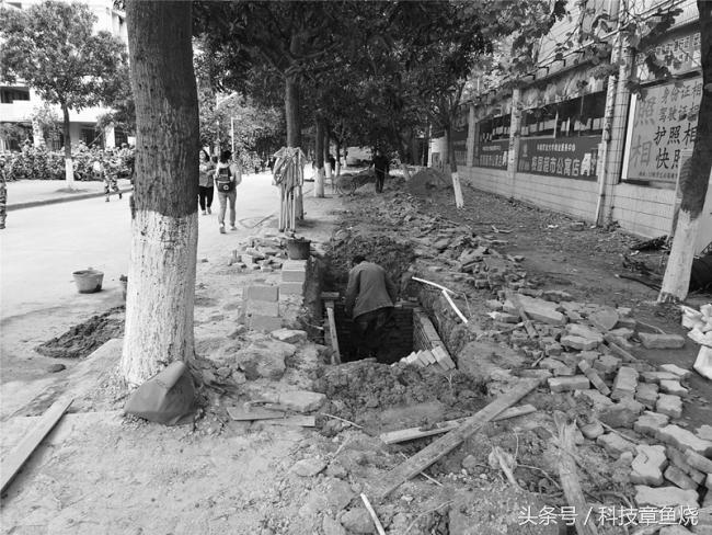 光荣v9对比光荣9拍照效果,光荣v9拍人像效果