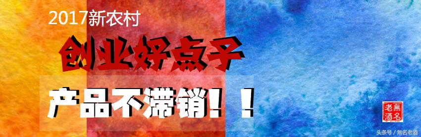 新农村创业致富方法有哪些,农村小本创业致富指南