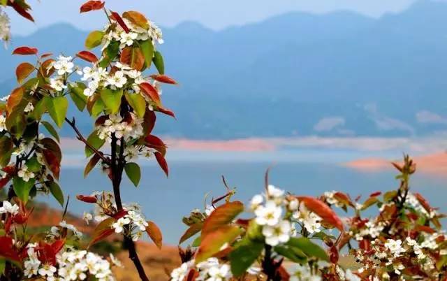 太壮观！清远这个群山萦绕的天湖惊现百米大瀑布，你竟然不知道？