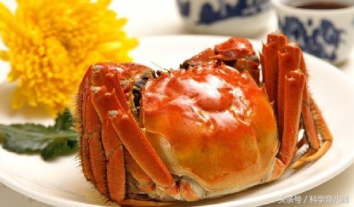 准妈妈要忌口的9种食物,准妈妈尽量少吃的食品
