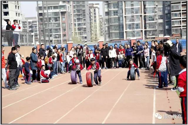 亲子运动会一起感受童心乐趣,亲子趣味运动会大合集