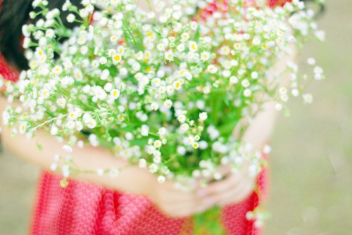 意境唯美图片小清新文字,手机壁纸高清小清新唯美图片