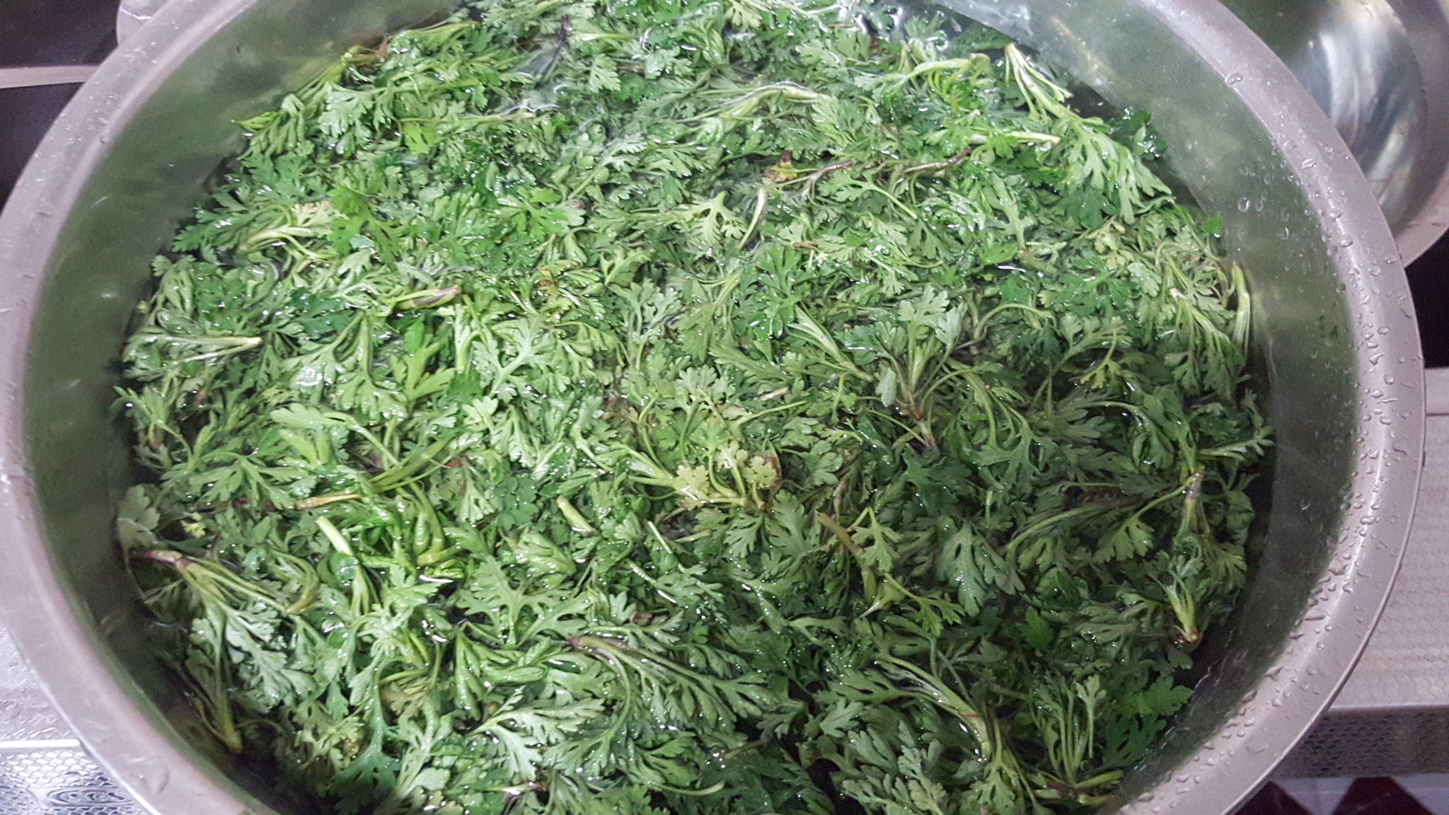 炒苦菊鸡蛋最好吃的做法,清新爽口的菊花菜炒鸡蛋