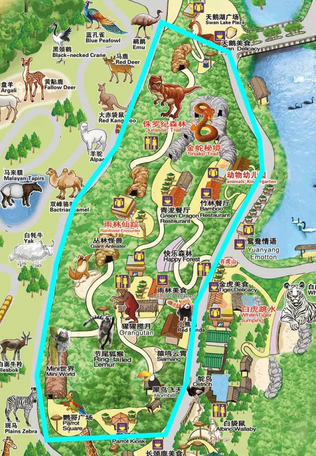 广州长隆野生动物园真实评价,广州长隆野生动物园讲解动物