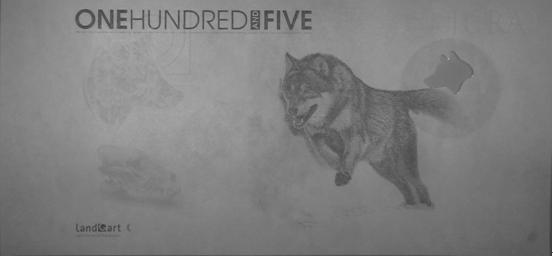 从“狼钞”引伸开来