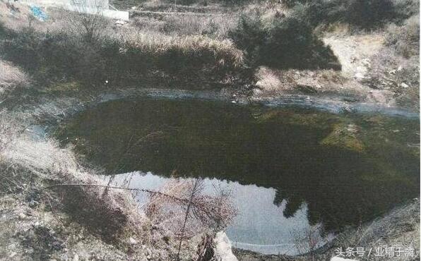 养鸡场面临被拆除的风险，只因收到了这样一份通知书！