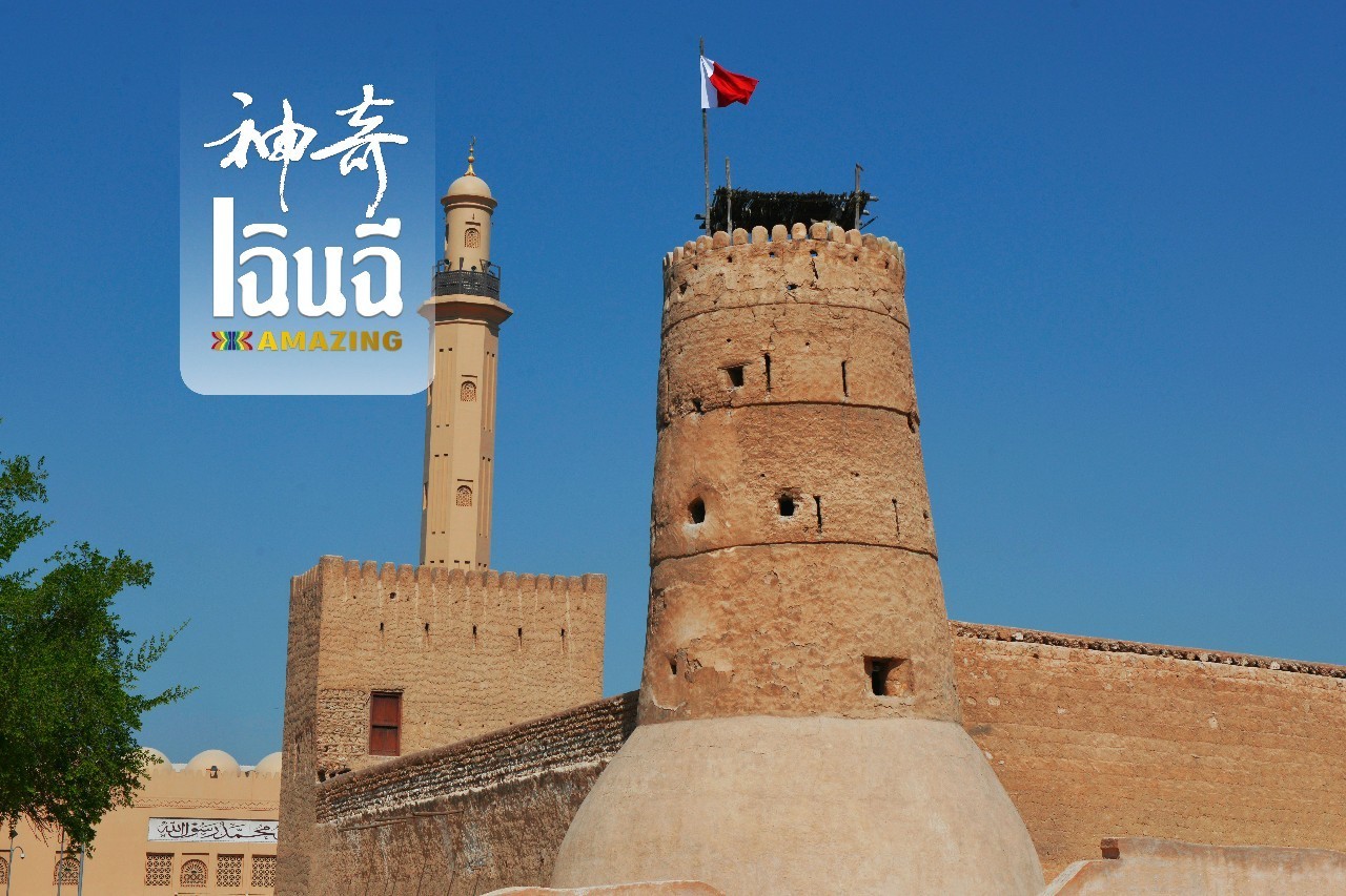 穿越沙漠到迪拜,大世界之旅阿联酋