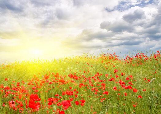 微信达人,微信故事