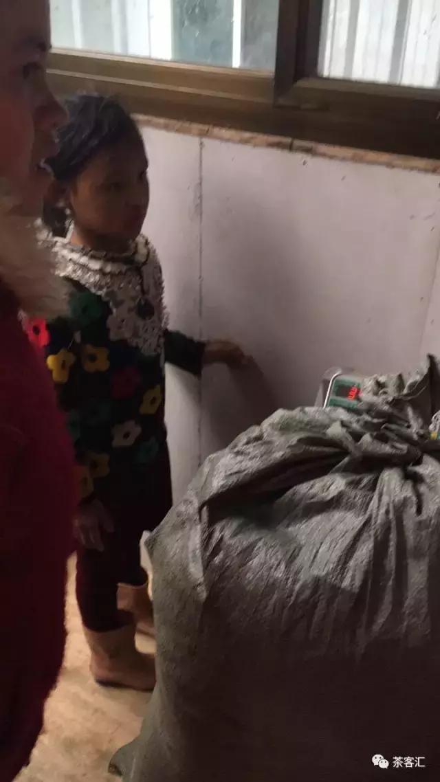 探寻普洱茶之旅路线,普洱茶人文寻访记第五天