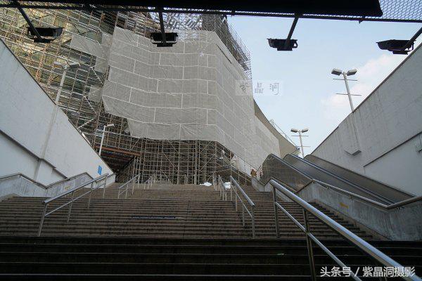 上海看樱花公园,上海看樱花去同济大学