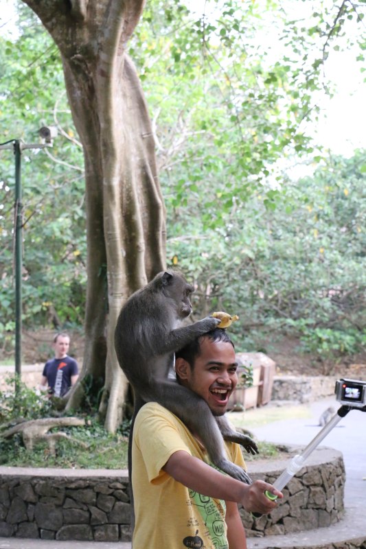 巴厘岛2天自由行,巴厘岛十一天自由行