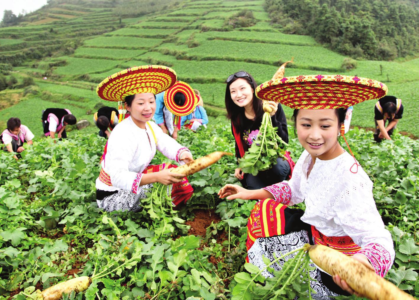 特点农业创业好项目推荐,休闲农业创业新思路有哪些内容